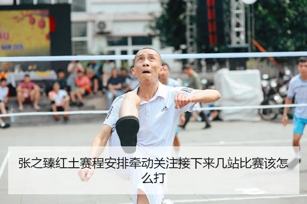 张之臻红土赛程安排牵动关注接下来几站比赛该怎么打 - aiyouxi